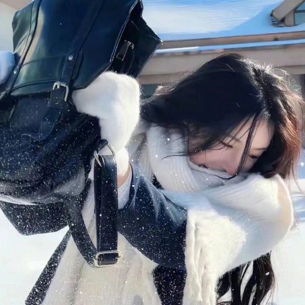 霹雳霸王花封面